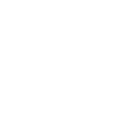 Perplexity